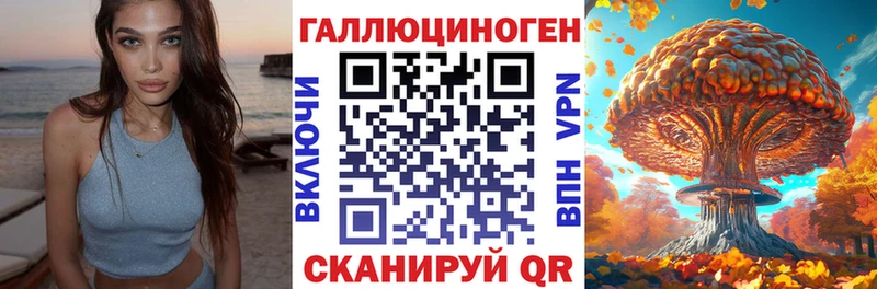 Псилоцибиновые грибы Psilocybe  Купить  Вольск 